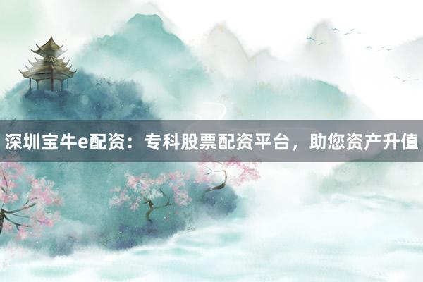 深圳宝牛e配资：专科股票配资平台，助您资产升值