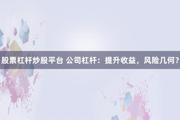 股票杠杆炒股平台 公司杠杆：提升收益，风险几何？
