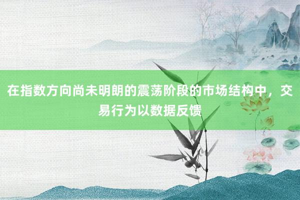 在指数方向尚未明朗的震荡阶段的市场结构中，交易行为以数据反馈