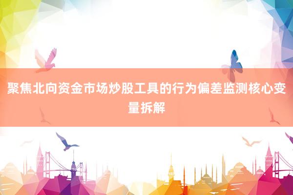 聚焦北向资金市场炒股工具的行为偏差监测核心变量拆解