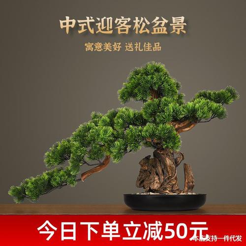 【南京枫树】-南京枫树厂家,品牌,图片,热帖